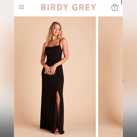 Birdy Grey Dresses & Skirts - Birdy Grey Ash Dress